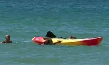 De vacaciones en la playa, el presidente de Portugal se tiró al mar y salvó a dos turistas