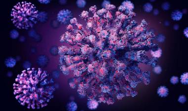 Una investigación reveló que los autoanticuerpos podrían ser la causa para que el coronavirus afecte más a algunas personas por sobre otras