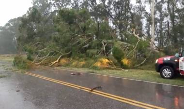 Otra tormenta de viento y lluvia provocó daños en la región