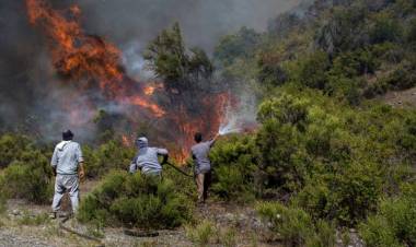 El incendio en el Bolsón ya llegó a Chubut: es el daño ambiental "más grande de la historia"