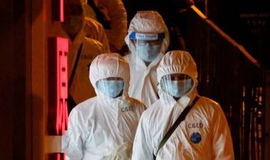 Misión de la OMS: creen haber detectado el origen de la pandemia de covid-19