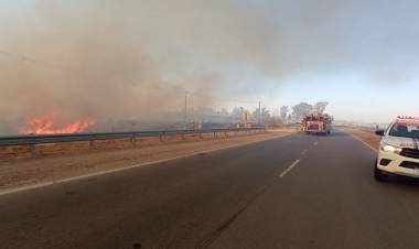 En Río Tercero se quemaron 135 hectáreas de monte nativo