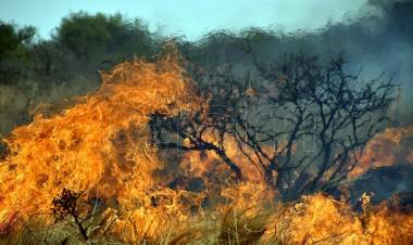 Controlaron los incendios que arrasaron cerca de 40 mil hectáreas en el norte cordobés