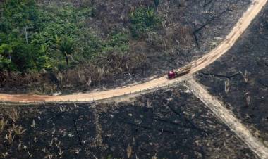 La deforestación de la Amazonia marcó un nuevo récord para abril