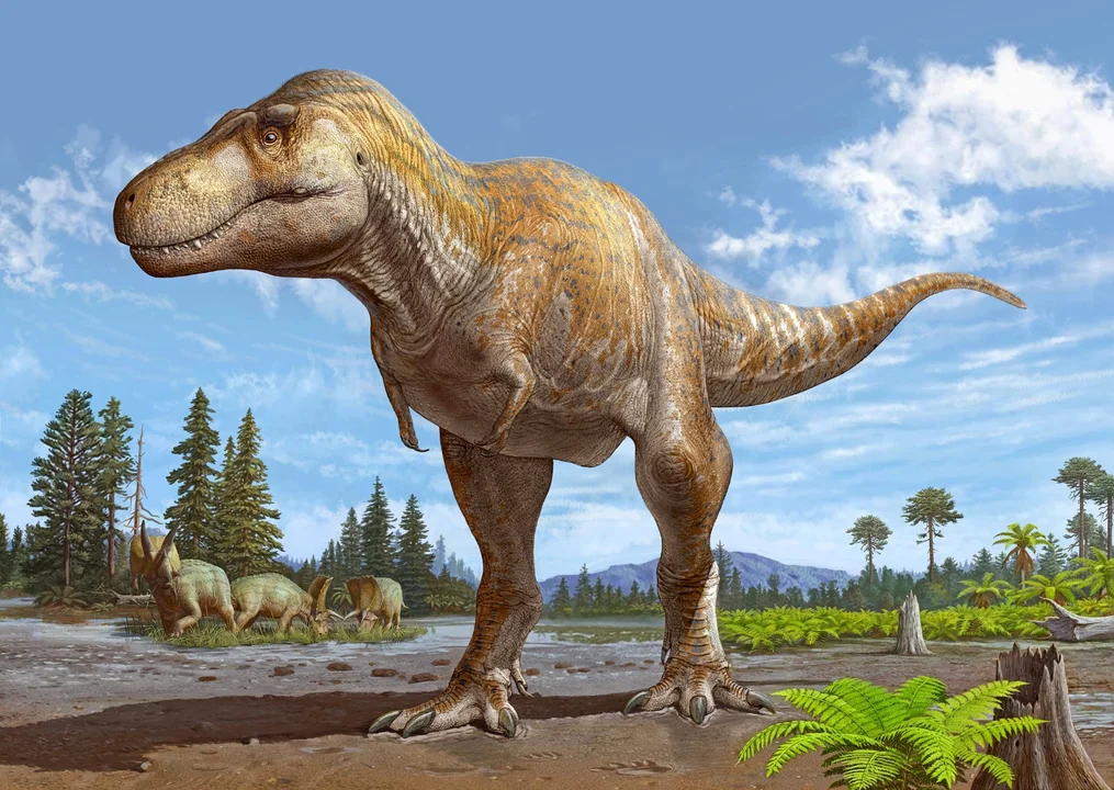 Descubren una nueva especie de Tiranosaurio en el sur de Estados Unidos