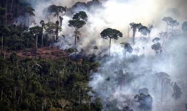 Los incendios en el Amazonas generaron un récord de emisiones de gases en Sudamérica
