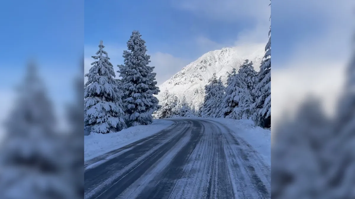 Una intensa nevada dejó vehículos varados entre Bariloche y El Bolsón