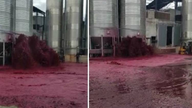 Traigan copas: el video viral de un río de vino tinto en una bodega