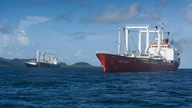 Organizaciones ambientalistas advirtieron sobre los peligros de la presencia de la flota de China en aguas chilenas