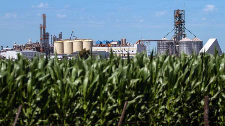 Alerta en Córdoba: el etanol de maíz se queda sin mejoras en el precio