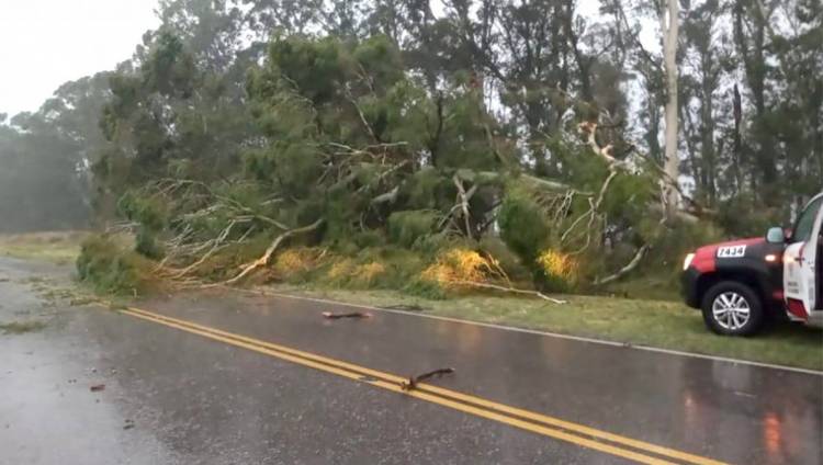 Otra tormenta de viento y lluvia provocó daños en la región