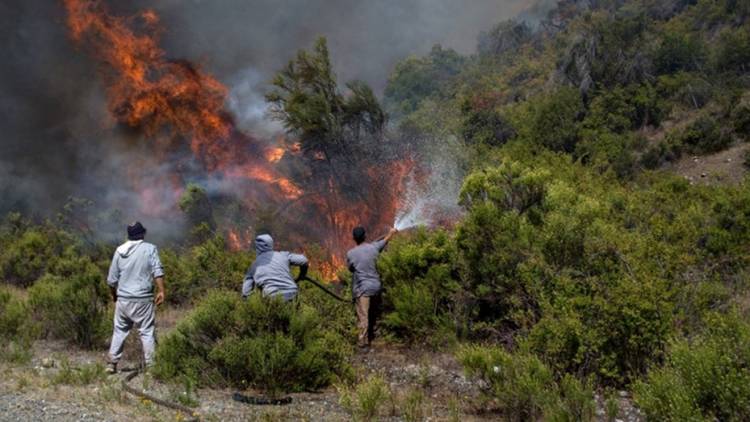 El incendio en el Bolsón ya llegó a Chubut: es el daño ambiental "más grande de la historia"