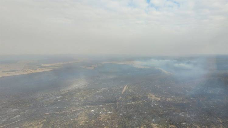 Incendios en el norte de Córdoba: la Conae estima más de 30 mil hectáreas quemadas