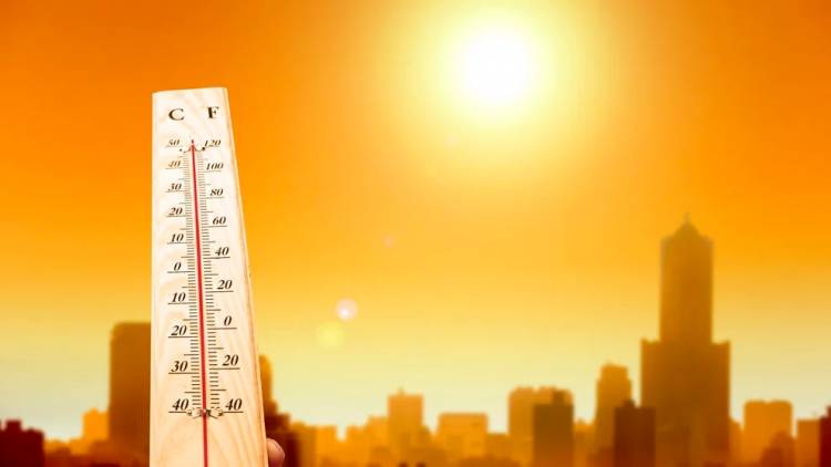 Olas de calor: cada vez son más frecuentes, imprevistas e intensas
