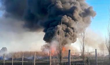 Intensa actividad de bomberos, con diez salidas por pastizales