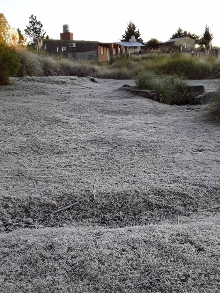 Gran Helada en Achiras. El Invierno Arranco Con Temperaturas de -2 °C