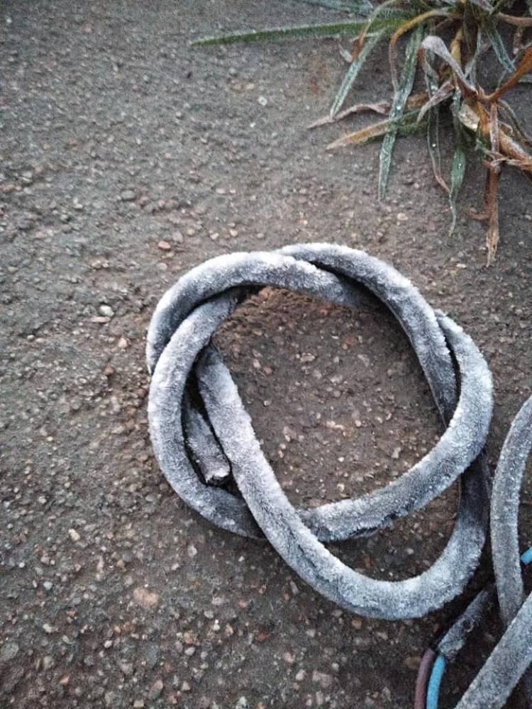 Gran Helada en Achiras. El Invierno Arranco Con Temperaturas de -2 °C