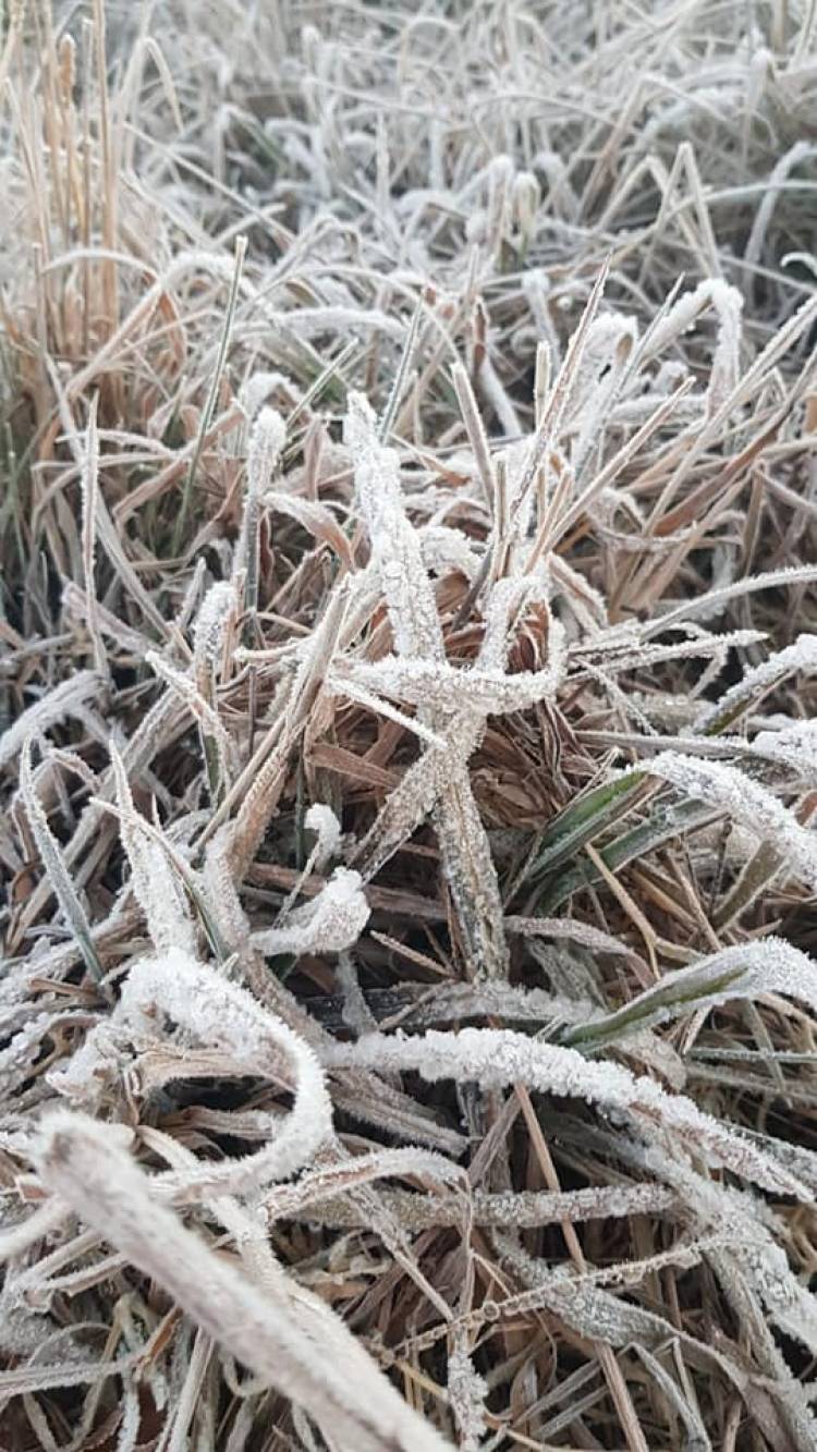 Gran Helada en Achiras. El Invierno Arranco Con Temperaturas de -2 °C
