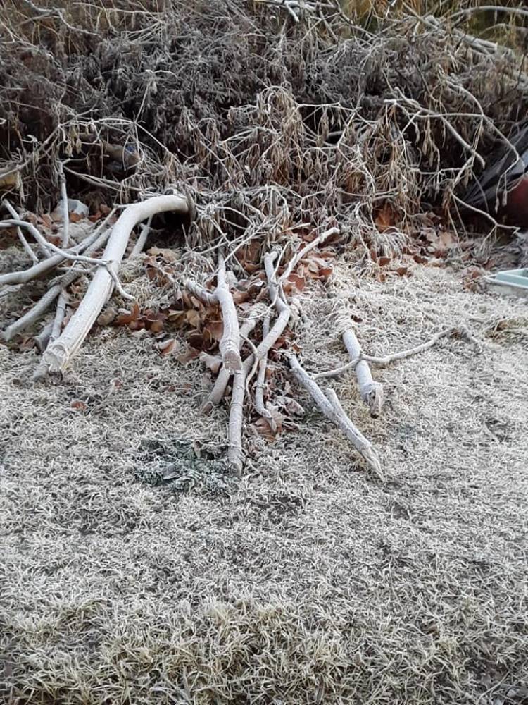 Gran Helada en Achiras. El Invierno Arranco Con Temperaturas de -2 °C