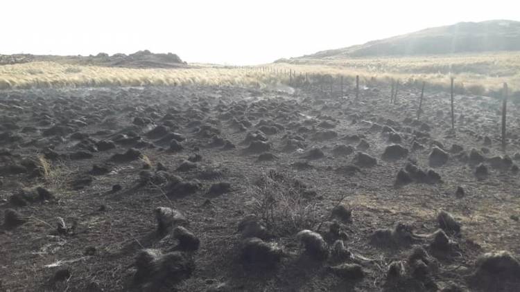 Achiras: Incendios Simultáneos en La tarde del Jueves en Cercanias a Achiras