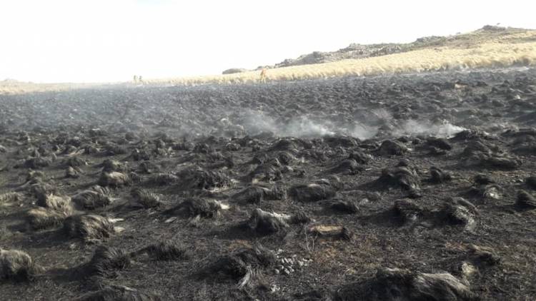 Achiras: Incendios Simultáneos en La tarde del Jueves en Cercanias a Achiras