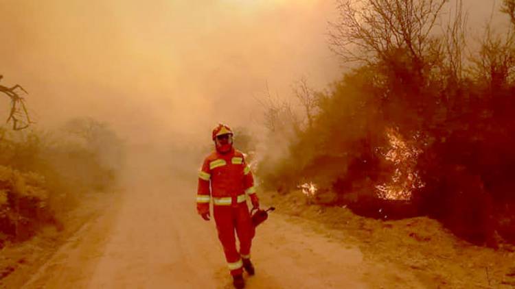 Incendios: sequía, calor y viento ponen a Córdoba en alerta máxima