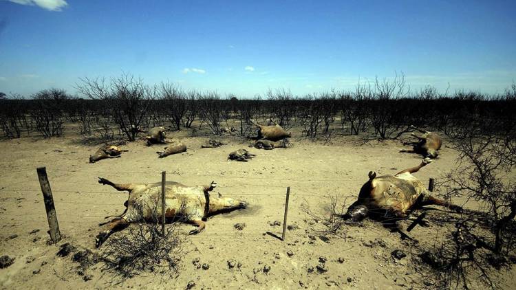 Cambio climático y biodiversidad: las claves para la educación ambiental, según expertos
