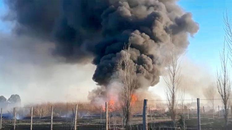 Intensa actividad de bomberos, con diez salidas por pastizales