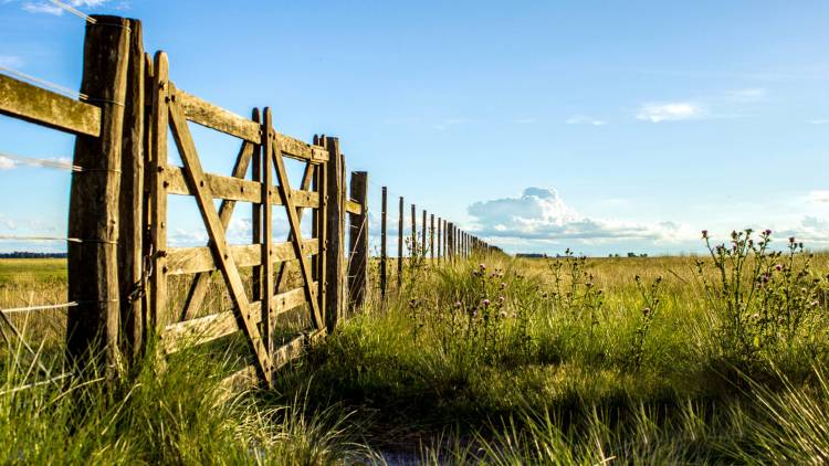 Alquilar un campo, en el valor más alto desde 2011: 11,5 quintales de soja