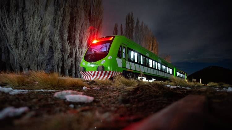 Suspenden entre 15 y 20 días los servicios del Tren Patagónico