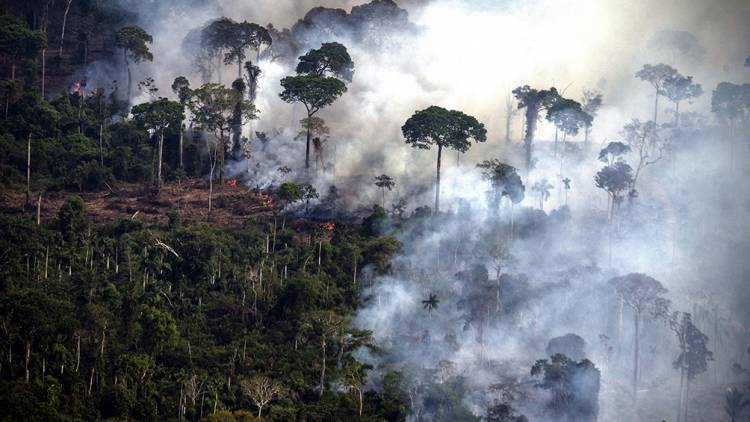 Los incendios en el Amazonas generaron un récord de emisiones de gases en Sudamérica