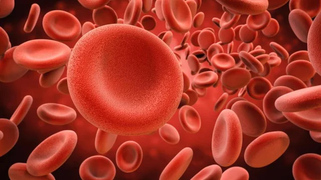 Se detectan más de 30 casos de cáncer de la sangre por día en la Argentina